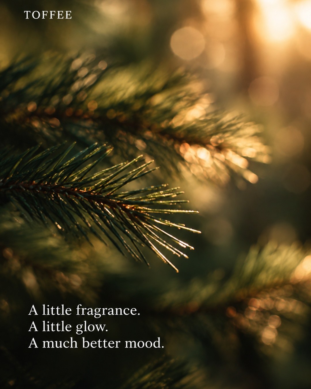 A little fragrance. A little glow. A much better mood.