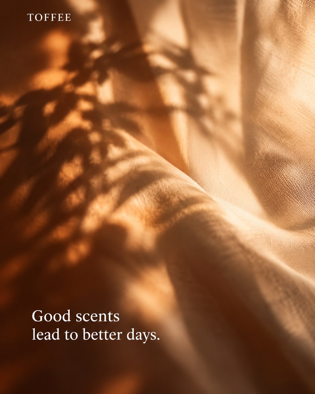 Good scents lead to better days.