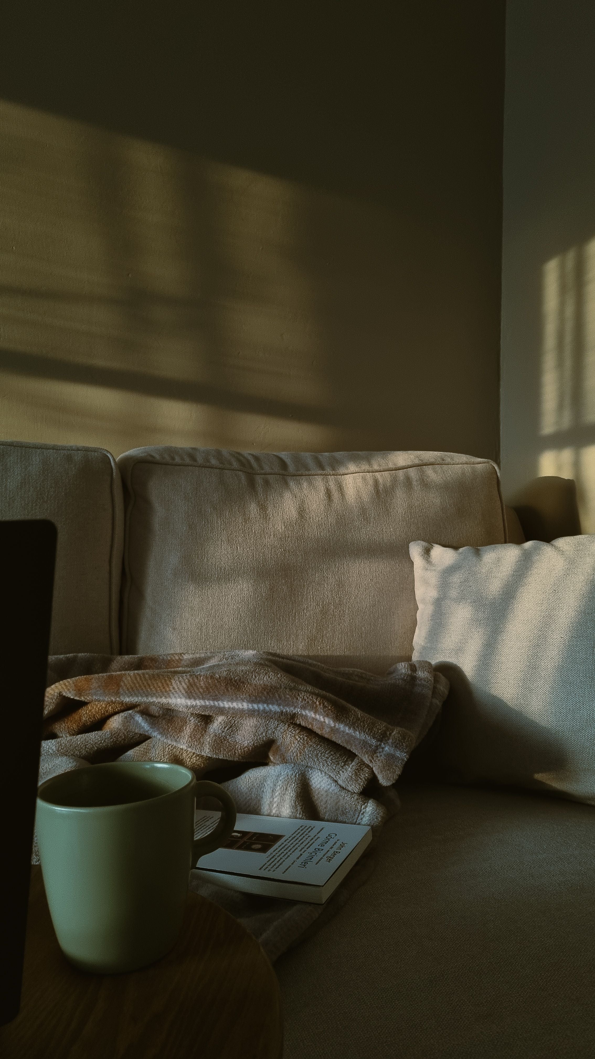 Warm neutral living room with blanket and sunlight for Cozy & Comfort mood