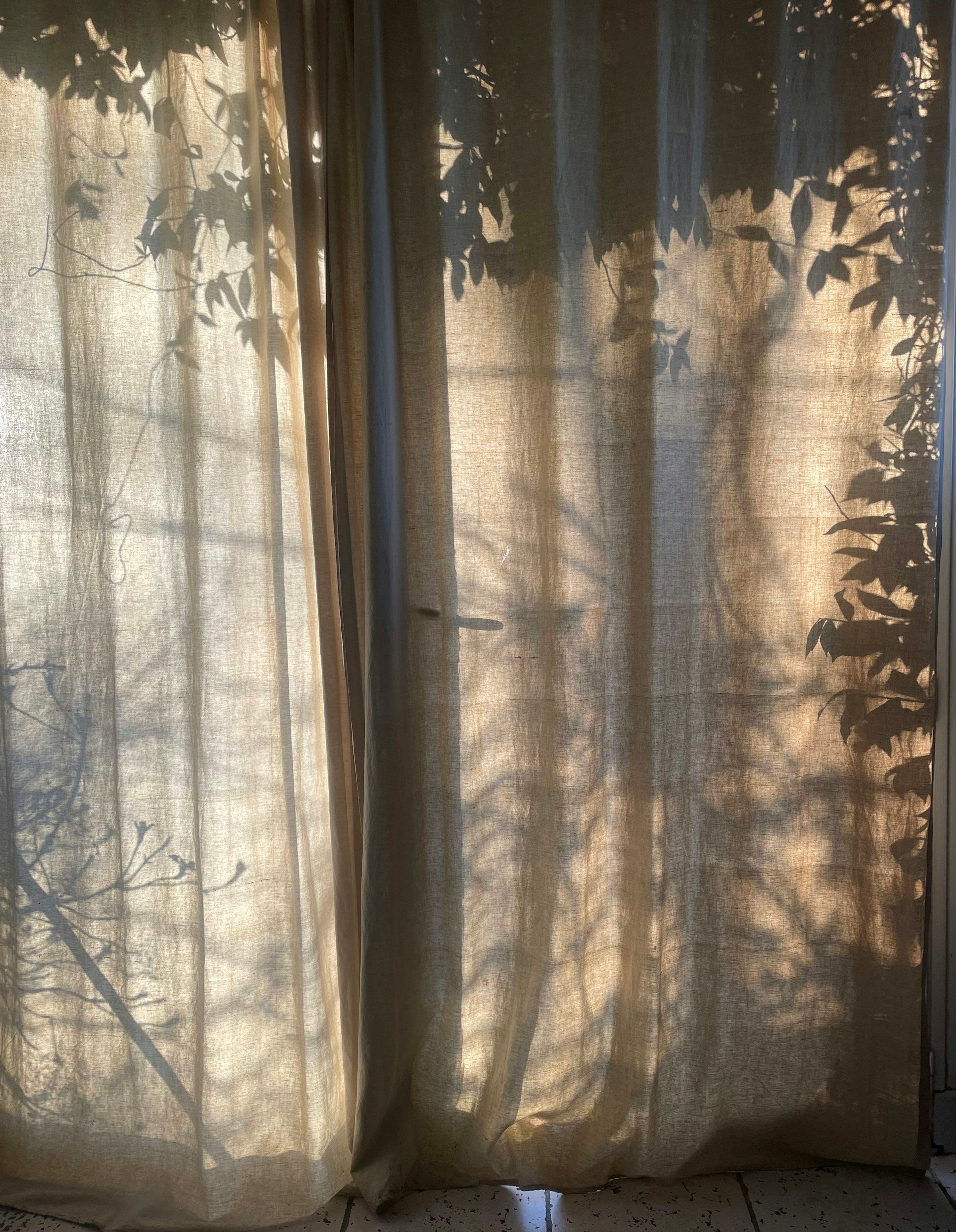 Sunlight filtering through linen curtains with soft leaf shadows for Toffee Fresh & Airy mood