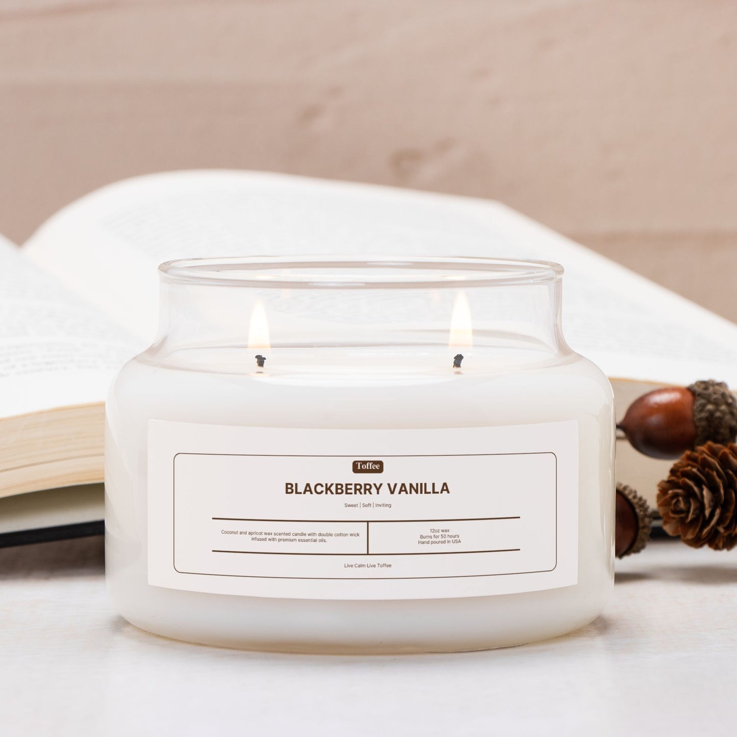 Blackberry Vanilla Candle Apothecary Jar (Double Wick)