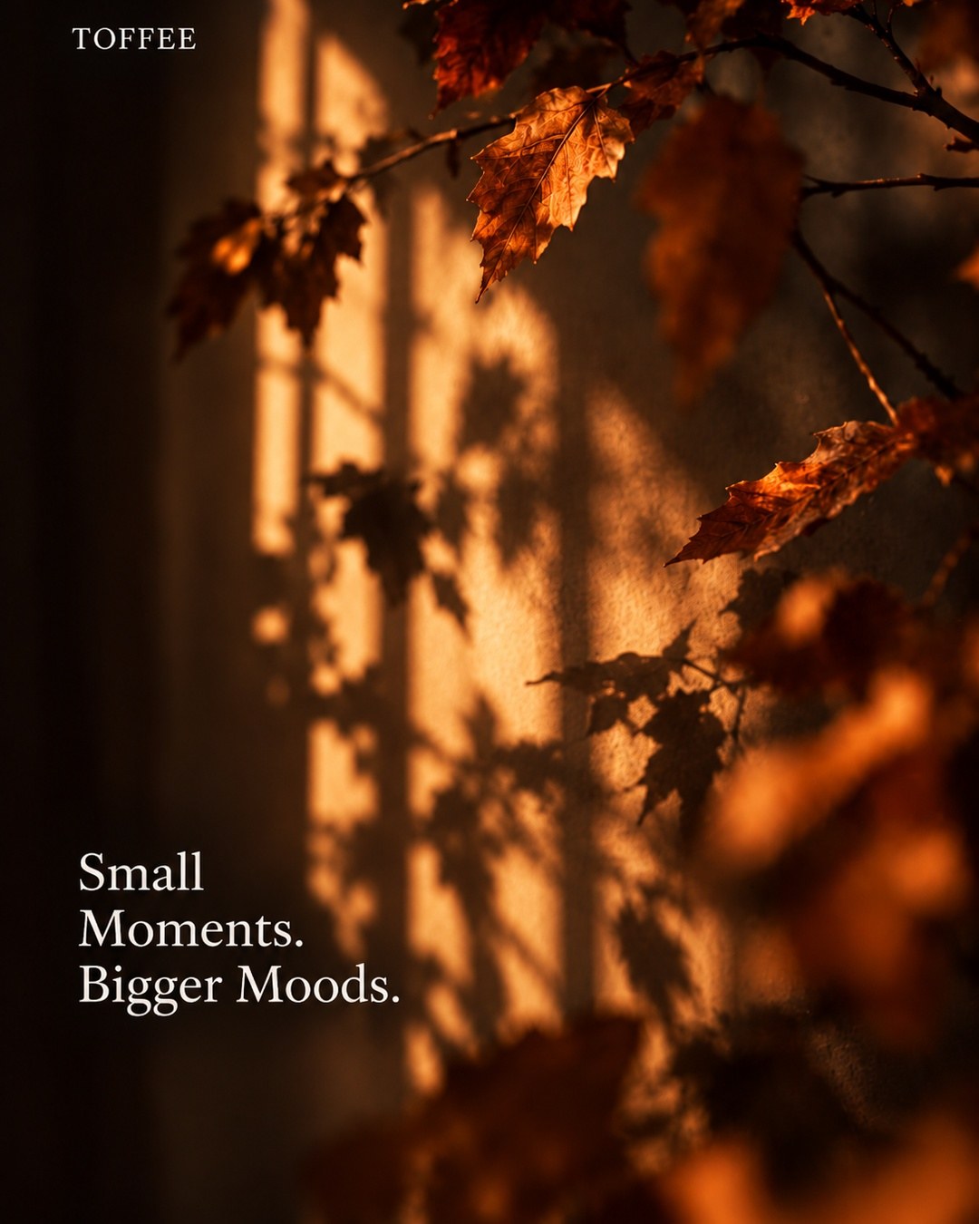 Small Moments. Bigger Moods.