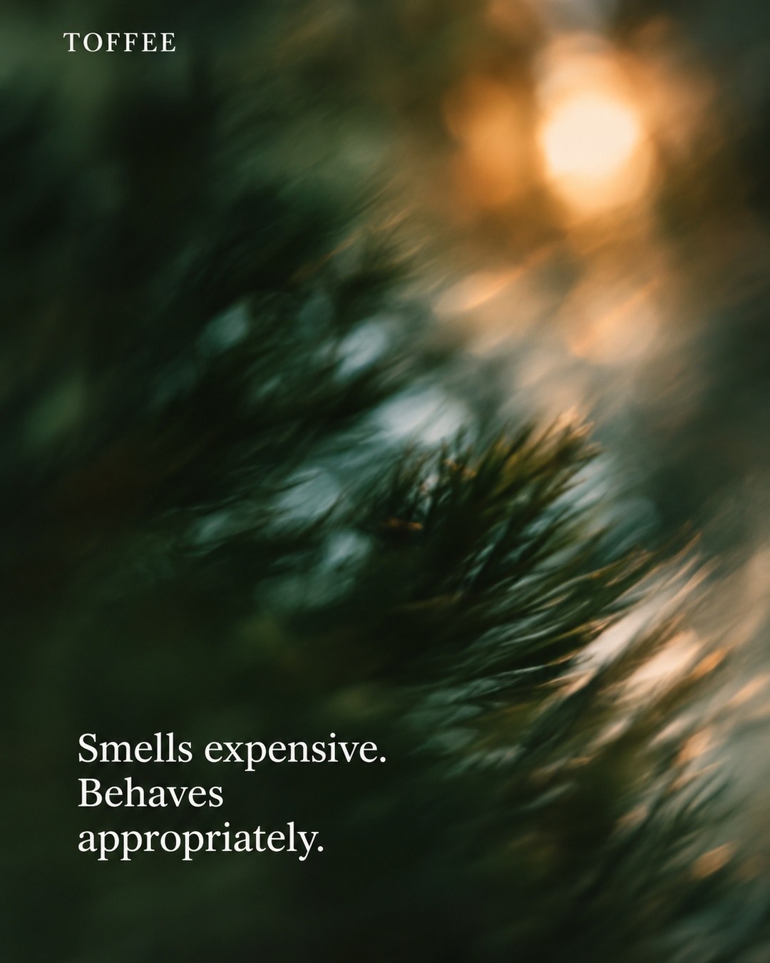 Smells expensive. Behaves appropriately.