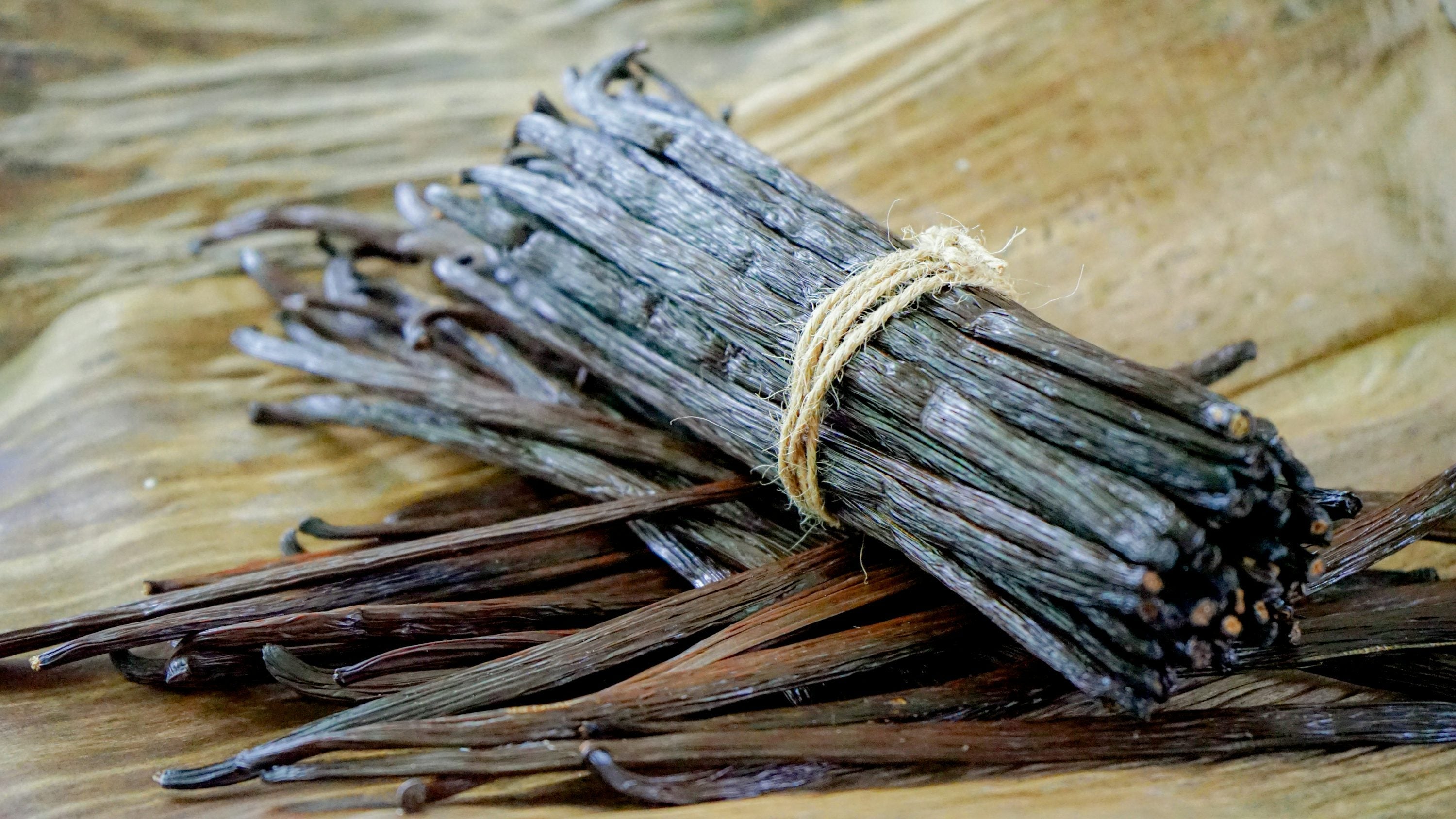 Natural vanilla bean pods representing the warm vanilla notes of Cashmere Vanilla