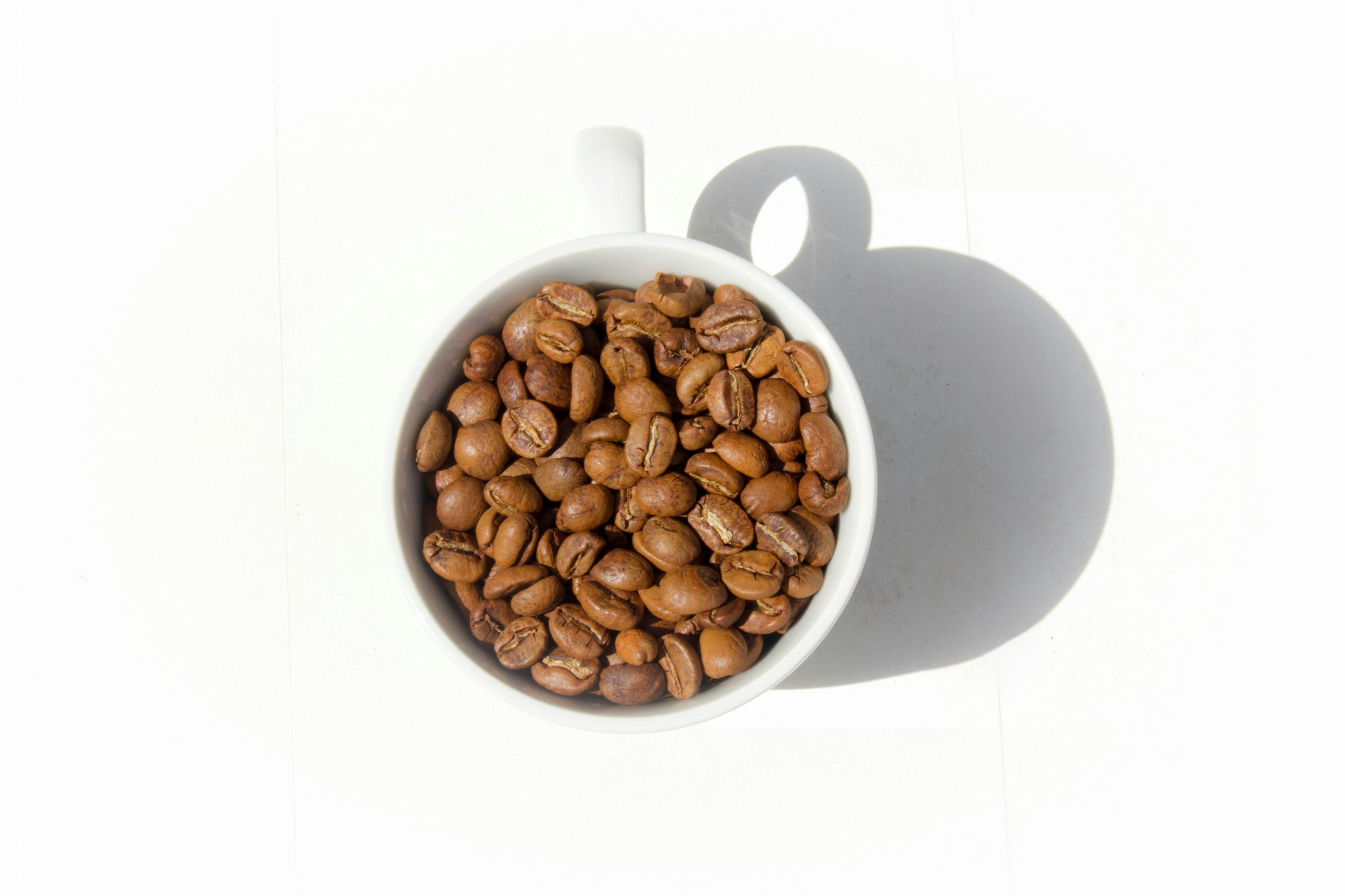 Coffee beans in a white ceramic cup with natural shadow representing the rich roasted notes of Morning Coffee